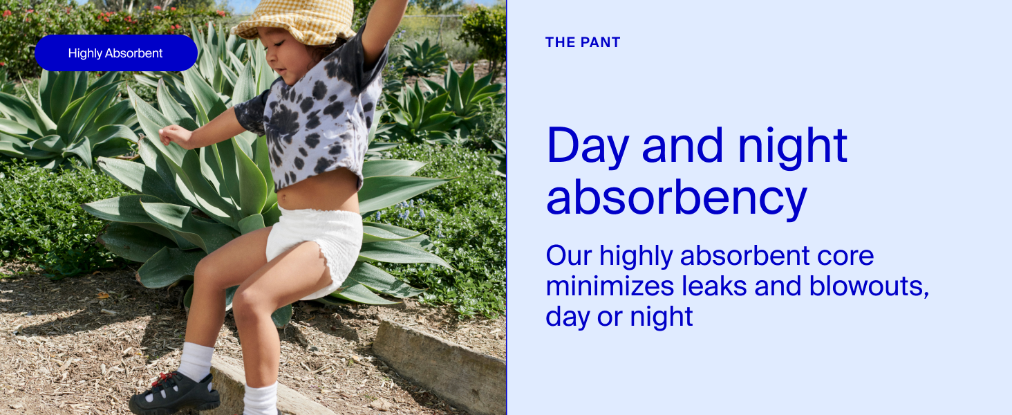 day and night absorbency
